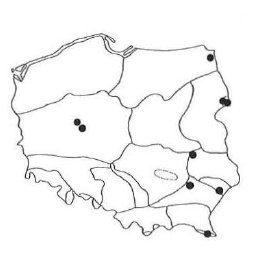 Przechwytywanie w trybie pełnoekranowym 2012-02-11 213529.jpg