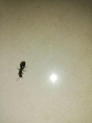 ???????????????????????????