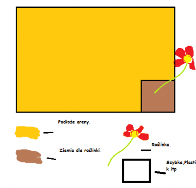 Arena i kwadracik z czegoś na roślinkę.