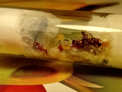 A to zdjęcia z drugiej strony.