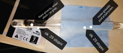 Tak to wygląda. Królowa ciągle sie nie przenosi...