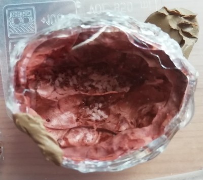 mrówki w orzechu.jpg