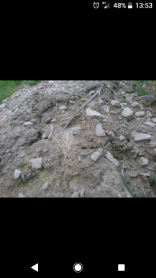 Zdjęcie miejsca gniazdowania