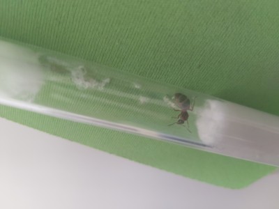 20200628_164453 - kopia.jpg