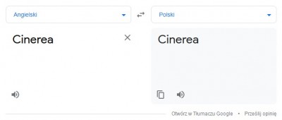 Zrzut ekranu 2021-07-21 011026.jpg