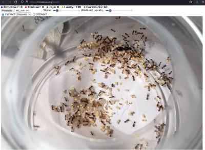 Zrzut ekranu 2021-12-27 215132.JPG