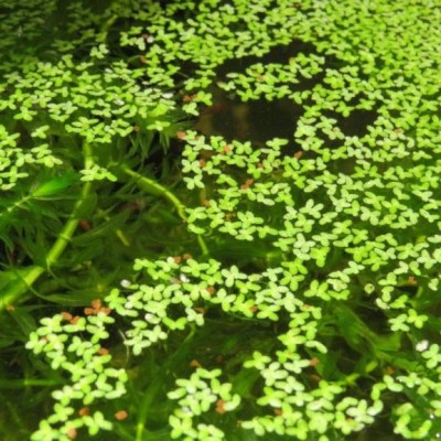 31445-0806587319_v (1).jpg