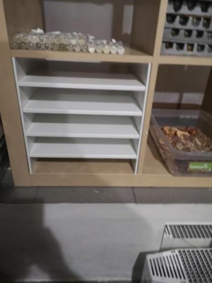 20220114_203301 (1).jpg