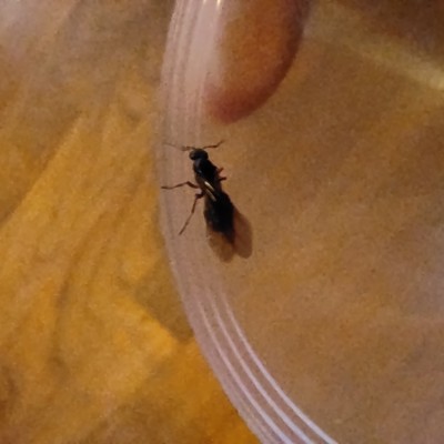 Tu daje zdjęcie. Sorry za jakość ale cały czas się rusza