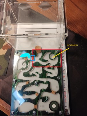 formikarium - przegrody zaznaczone.jpg