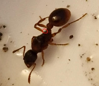 Zrzut ekranu 2025-05-02 124314.png