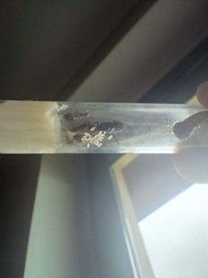 WhatsApp Image 2025-05-24 at 14.42.03_aa538979.jpg