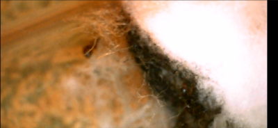 2025-10-16 21_04_27-Ustawienia.png