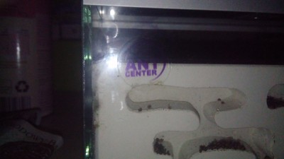 1539111169101747906642.jpg (2.05 MiB) Przejrzano 15073 razy Pod znaczkiem ant center jest pleśń i po lewej