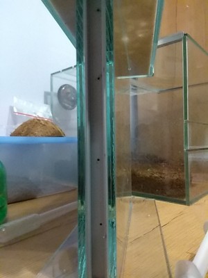 Otwory do nawadniania.